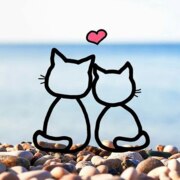 Шатрова Эльвира