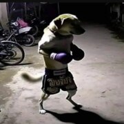 Кусакин Глеб Артемович