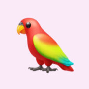 Яворович Эльвира