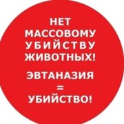 Кирлик Дарья Кирлик Дарья