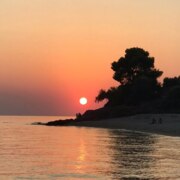 Доценко Владимир Викторович Доценко Владимир Викторович