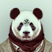 Здоровеннов Алексей Романович Здоровеннов Алексей Романович