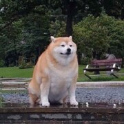 Зеленский Алексей Витальевич