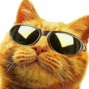 Савченко Артём Геннадьевич