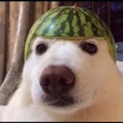 Соболев Илья