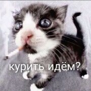 Иткинов Арсен Рустамович