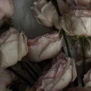 Ульбашева Ариана Беслановна
