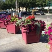 Антипин Евгений Петрович Антипин Евгений Петрович