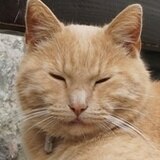 Брылёв Дмитрий Андреевич