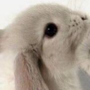 Аврамова Алика Евгеньевна Аврамова Алика Евгеньевна