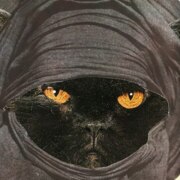 Кох Анастасия