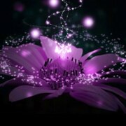 Коломейцева Людмила Коломейцева Людмила