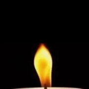 Никитин Доржа Олегович