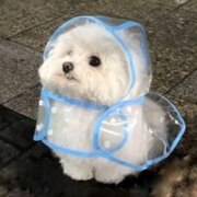 Шинкаренко Елизавета Михайловна Шинкаренко Елизавета Михайловна