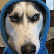 Романова Алексей Сергеевич