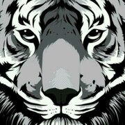 Чехомов Алексей Андреевич