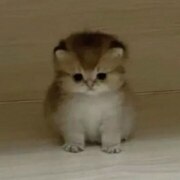 Дуденко Лина Дуденко Лина