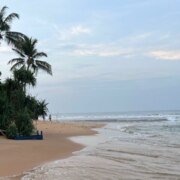 Восканян Марианна Гагиковна