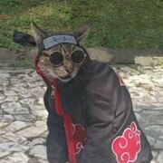 Збаразский Михаил Анатольевич