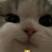 Шпаков Егор Александрович