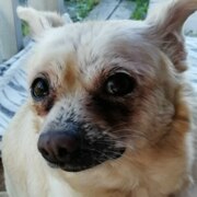 Скороходова Елена Владимировна