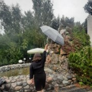 Шулика Валентина Петровна