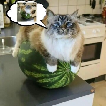 Яровиков Антонъ Альбертович Яровиков Антонъ Альбертович