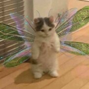 Маркова Аня Маркова Аня