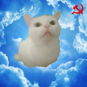 Карась Артём Олегович