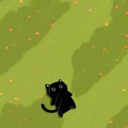 Цветкова Надежда Вячеславовна