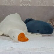 Орёл Влад Сергеевич