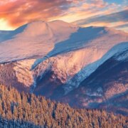 Онищенко Егор Алексеевич