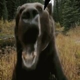 Андреев Андрей Вячеславович