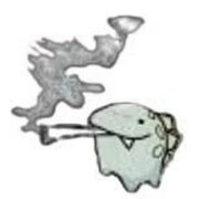 Гелета Никита