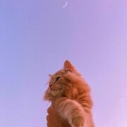 Кудрявцев Вадим Вадимович