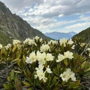 Громачкова Марина Александровна Громачкова Марина Александровна