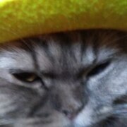 Адамов Костя Александрович