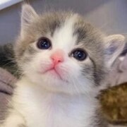 Глазунова Валерия