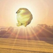 Пишикин Леонид Денисович