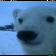 Максим Кирилл