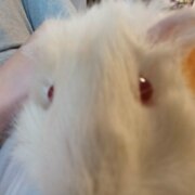 Монтонен Арсений