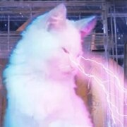 Ковынев Кирилл