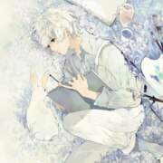 Келли Шинки Келли Шинки