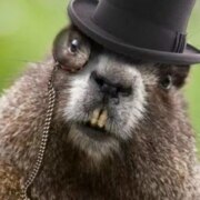 Шатилов Артём Григорьевич