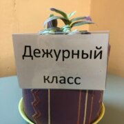 Логинов Александр Данилович