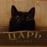 Портнов Дмитрий