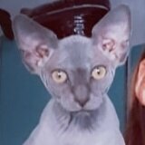 Киселева Полина Дмитриевна Киселева Полина Дмитриевна