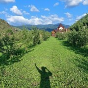 Боровец Анжелика Сергеевна Боровец Анжелика Сергеевна