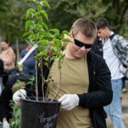 Кошеленко Никита Андреевич