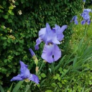 Котикова Дугурхан Алихановна Котикова Дугурхан Алихановна